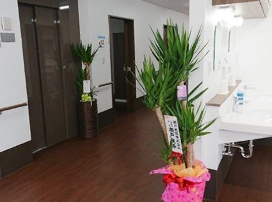 植物が点々と置いてある施設内の廊下。右側に洗面台があるスペース