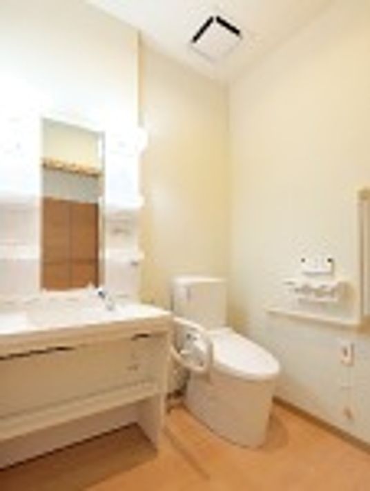 トイレは広く両サイドに手すりが付き、大きな車いす対応の洗面所が付いている。