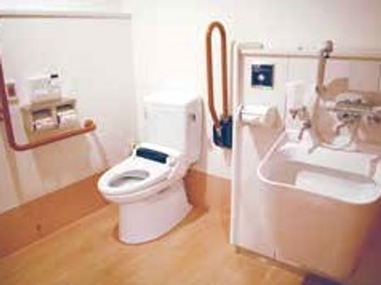 両側に手すりが付いているトイレの様子。オスメイトや洗面台もあるトイレ