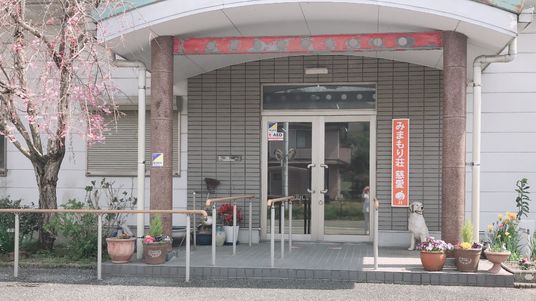 大きな屋根が付いた玄関の周りにはたくさんの手すりが付き、ピンクや黄色の花が植えられたプランターや白い犬の置物も置かれている。