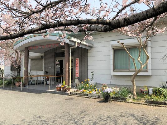 桜の花がきれいに咲いている枝が手前にあり、その奥に白い外壁の平屋建ての建物があり、玄関周りには花が植えられたプランターがたくさん置かれている。