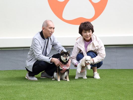 犬とほほ笑んでいる老夫婦。ドッグランのような場所