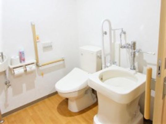 白いトイレの横には大きめの洗い場と手すり、呼び出しボタンがある。