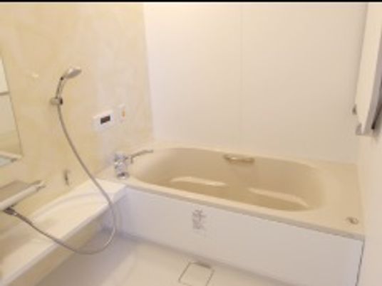 白い浴槽が設置された浴室。家庭的なサイズの浴槽の周りには手すりやシャワーがある。