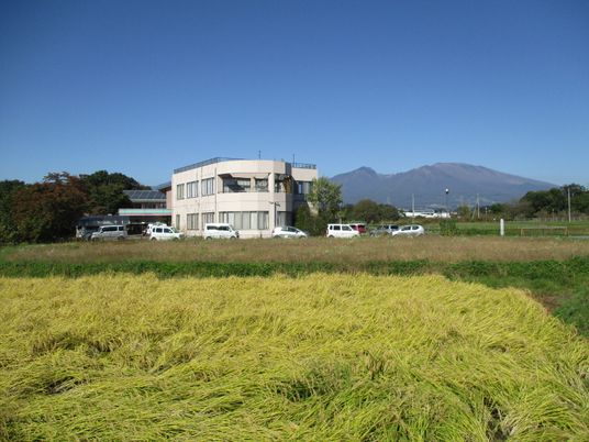雨夜毛がある施設の入り口付近。駐車スペースがある広めの敷地
