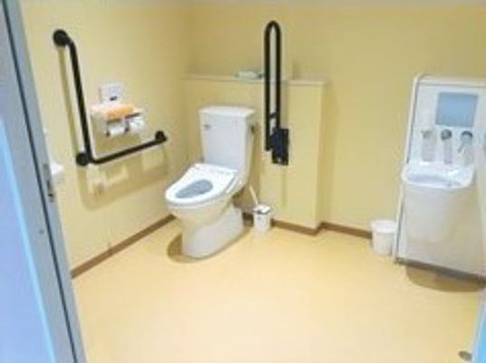 便器の両側に固定式と可動式の手すりがついている施設内のトイレの様子