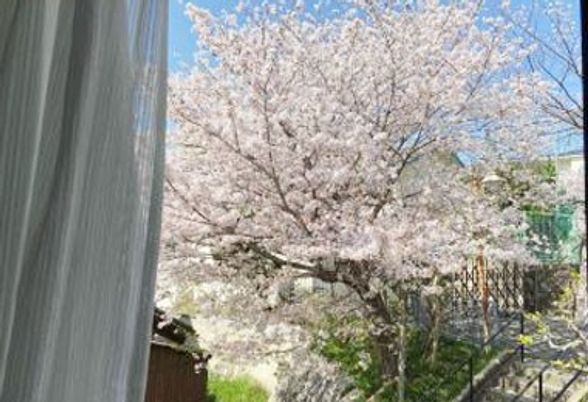 施設内から見える景色