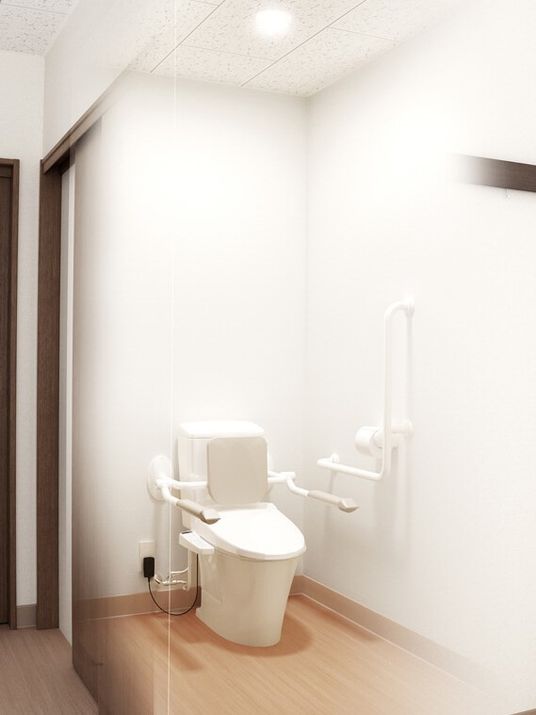 トイレには手すりや背もたれが付いている。温水便座のトイレはシンプルなデザイン。