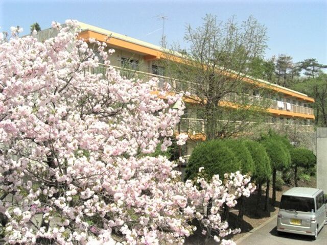 桜の花が手前に移っている写真。施設の駐車場、広場を移した１枚 自然に囲まれているのも当施設の良いところ。桜が咲く季節にはお花見もできますので、ぜひ自然の美しさを感じてください。