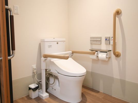 トイレは広く、手すりが便座の両サイドと壁についている。