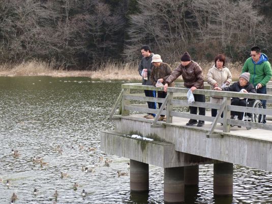 たくさんのカモがいる池で、ニッチ帽やジャケットを着こんだ入居者とスタッフが餌やりをしている。