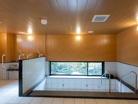手すりがついたプールのような広さの浴室の様子。施設内の大浴場