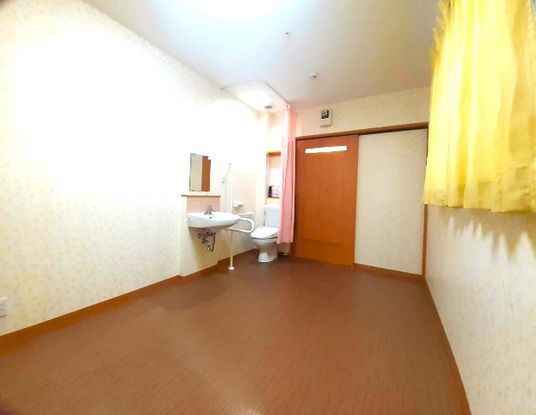 トイレと洗面所、カーテンが備え付けられている個室