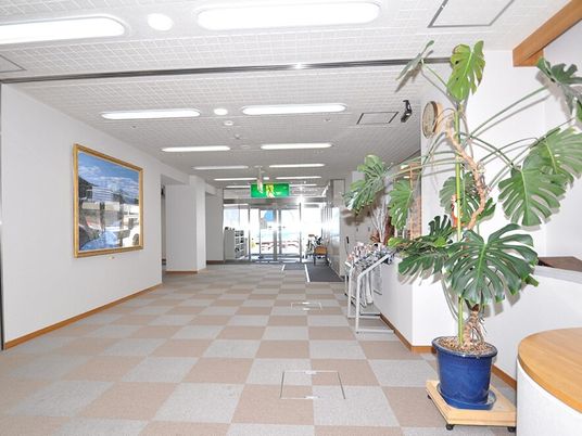 開放的な廊下とエントランスの様子。オールバリアフリーの施設内