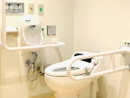 両サイドに手すりが付いたトイレは二がなく、手洗い場などもある。