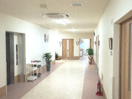 まっすぐな廊下。両サイドに居室のドアがあり、観葉植物が飾られている。