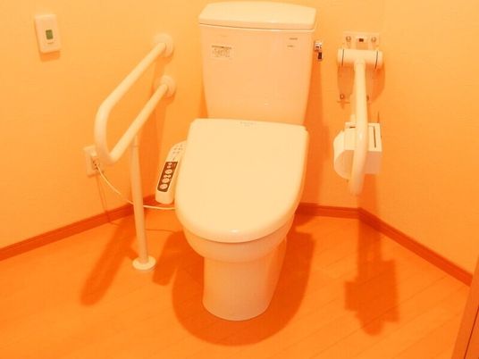 両サイドに手すりが付いたトイレには温水便座も設置され、壁には呼び出しボタンも付いている。