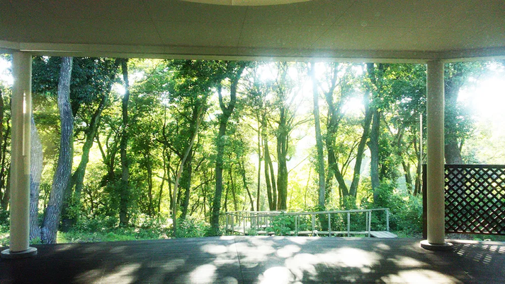 自然に囲まれている施設。陽射しが差し込んでいる景色