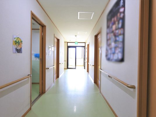 廊下に明るい日差しが差し込む