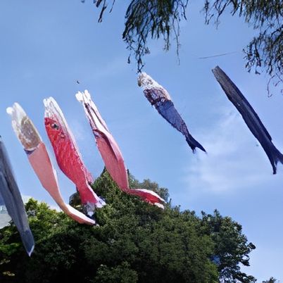 青空の上にこいのぼり