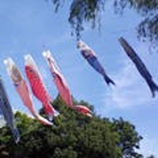 青空の上にこいのぼり