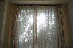 窓越しの柔らかな自然光