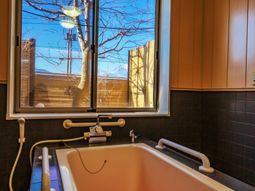 窓越しに見える木々と青空