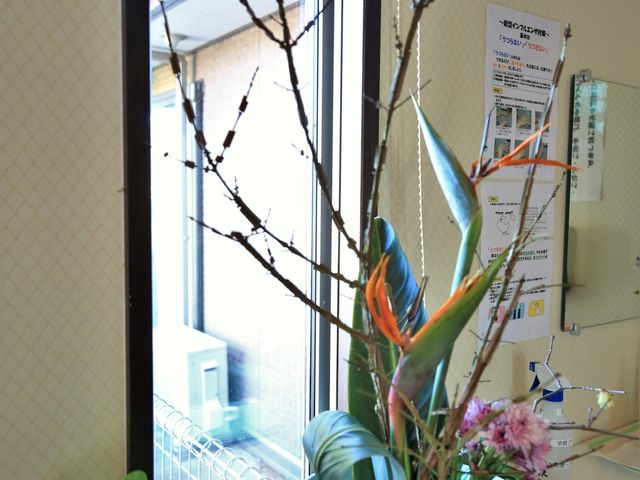 窓辺の生け花と緑 展示物  暖かな光が差し込む窓辺で、生け花が訪れる人々を優しく出迎えています。手入れが行き届いた植物が、日々の潤いに寄与している様子が伺えます。
