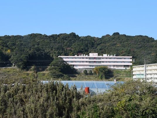 緑に囲まれた建物外観  