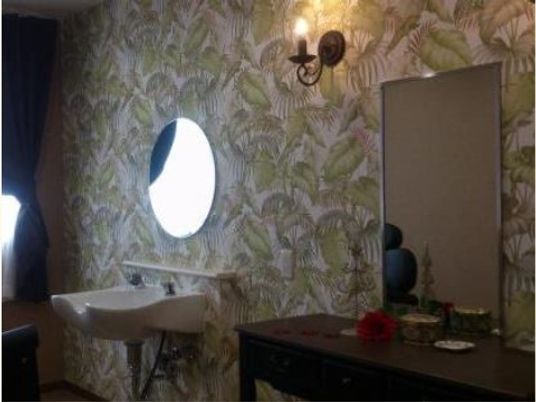 施設の写真 壁には植物の葉をデザインした張り紙が貼られており、ドレッサーが設けられている。隣接して鏡、洗面台が設置されている。