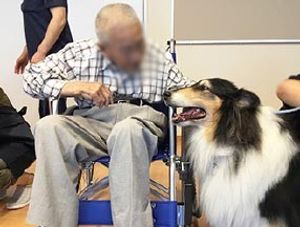犬と交流する風景