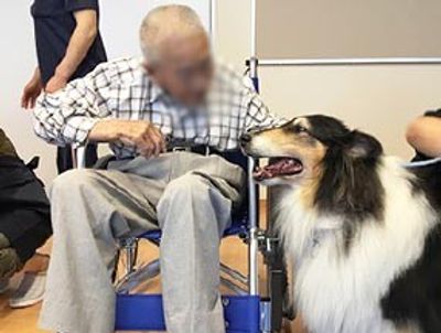 犬と交流する風景