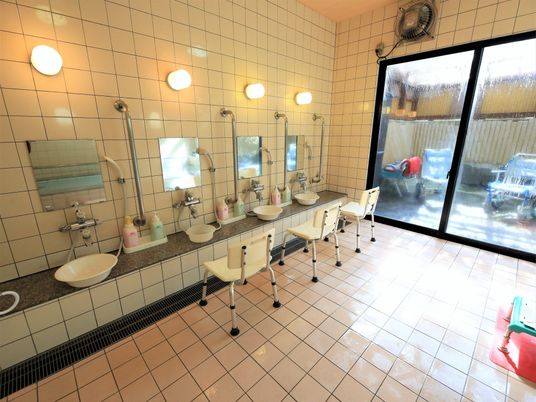 共有の明るい浴室には、複数のシャワーが設置されている。それぞれに照明と鏡、シャワーチェア、縦方向の手すりが設けられている。