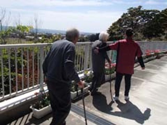 広い屋外のテラス テラス 広々とした屋外のテラスで、心地よい自然の中、散歩を楽しめます。リラックスできる空間です。