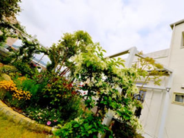 草花が咲く庭 庭 色とりどりの花々が咲き誇る庭で、リラックスできる時間を過ごせます。自然を楽しみながら働けます。