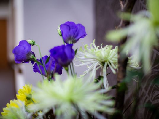 白や黄、青など色とりどりの花がきれいに咲き誇っている。季節の花を館内に飾っており、清々しい雰囲気である。