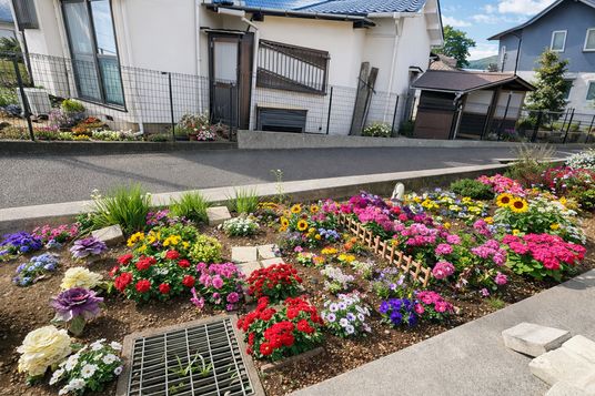 色とりどりの花壇