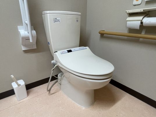機能的なトイレ