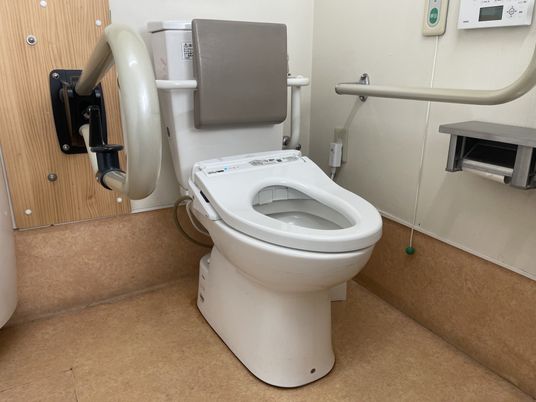 手すり付きトイレ