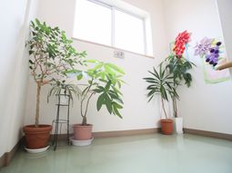 緑豊かな休憩コーナー