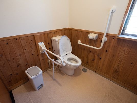 手すり付きの安全なトイレ