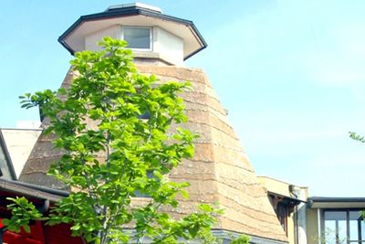 緑あふれる施設外観
