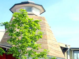 建物外観と木々の景色  