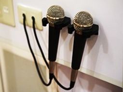 マイク2本掛かる壁面