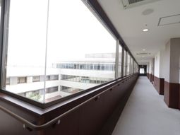 明るい廊下の景色