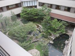 中庭の緑と池