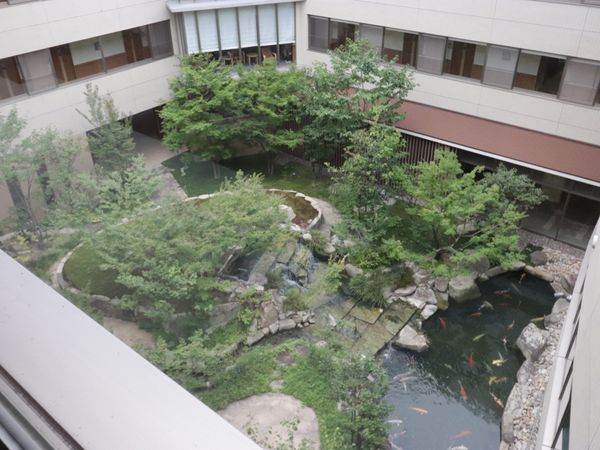 中庭の緑と池