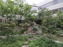 緑豊かな中庭の風景