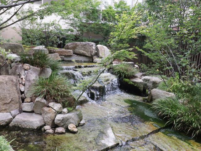 緑豊かな庭の風景 庭園 せせらぎが心地よい、石と緑に囲まれた庭です。自然の風を感じながら潤いのあるひと時を過ごせます。