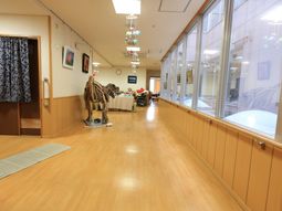 明るい廊下の光景